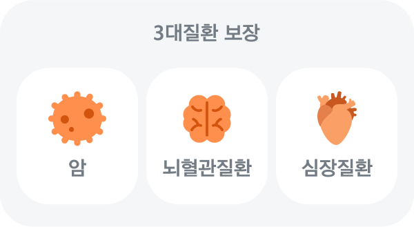 3대질환 보장 - 암, 뇌혈관질환, 심장질환