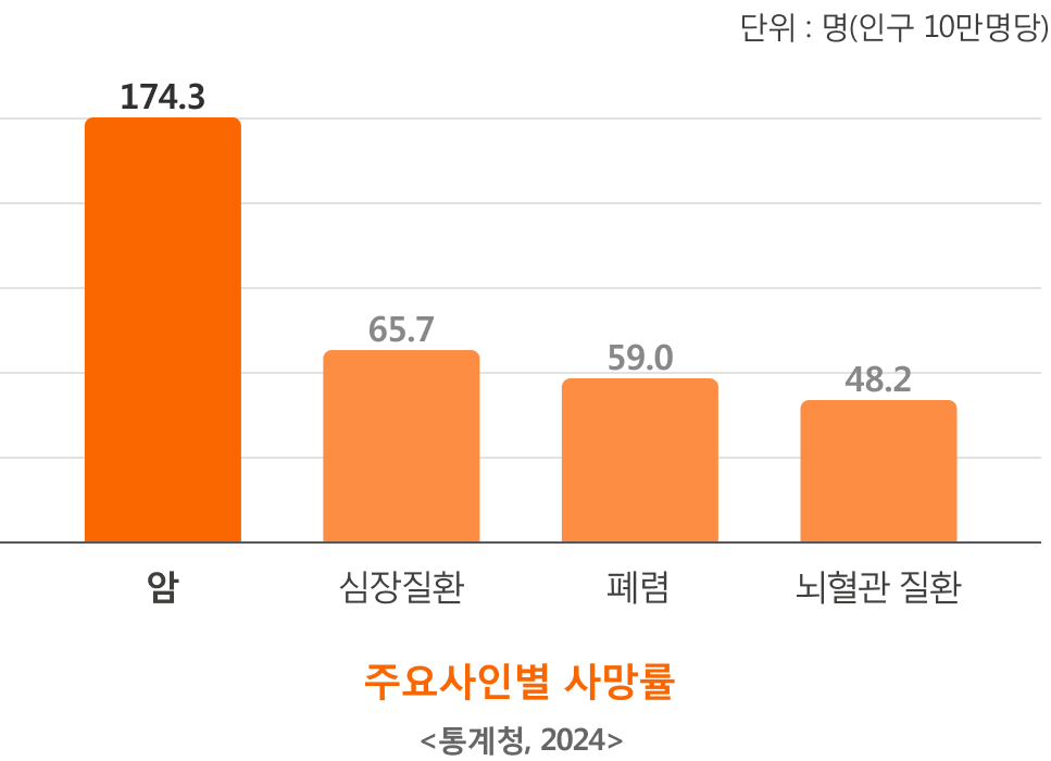 주요사인 별 사망자수 | 단위 : 인구 10만명당 명 | 암 166.7, 심장질환 64.8, 폐렴 57.5, 뇌혈관 질환 47.3 / 통계청, 2023
